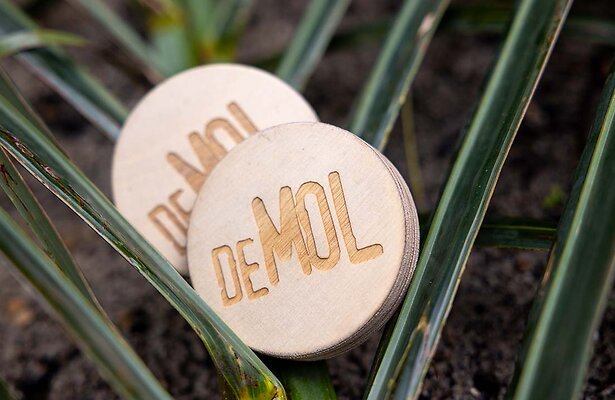 Wie Is de Mol? 2025