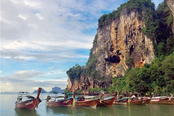 Een sociale aap in Wild Thailand
