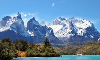 Wild Latin America