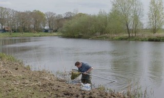 Wildernis onder water