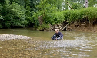 Wildernis onder water