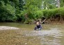 Wildernis onder water