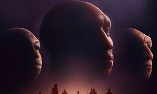 Human