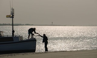 Langs de Schelde