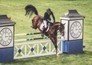 Paardensport: Global Champions Tour Riesenbeck