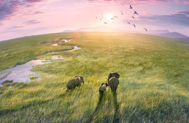 Planet Earth