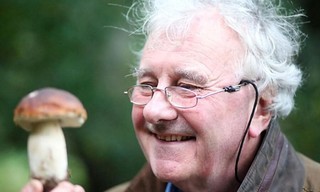 The magic of mushrooms