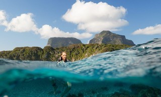 The Shallows