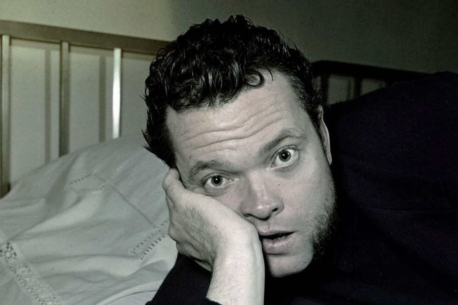 The Eyes of Orson Welles