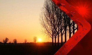 Weer