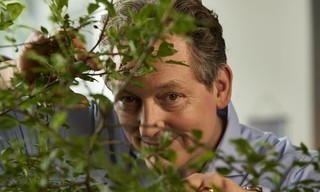 Wissen vor acht - Erde