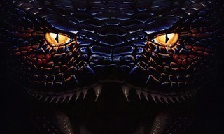 Anaconda