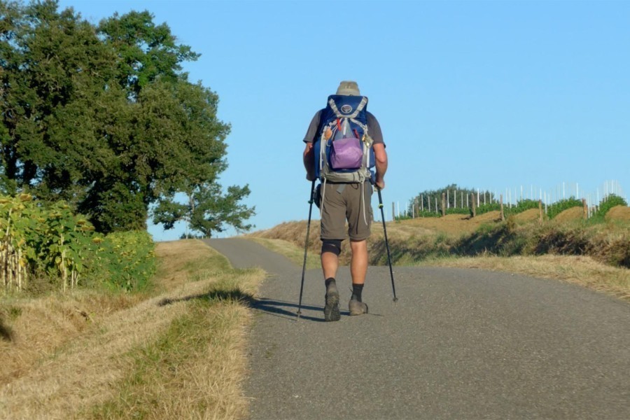 Camino