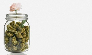 Dr. Sanjay Gupta Reports: Weed 8: Women & Weed