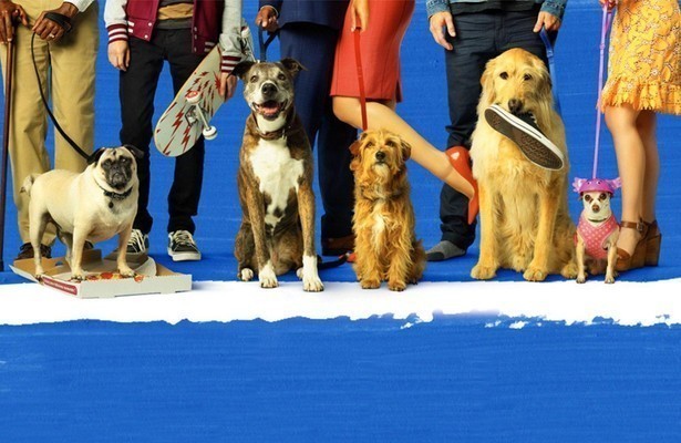 Dog Days (RTL7)
