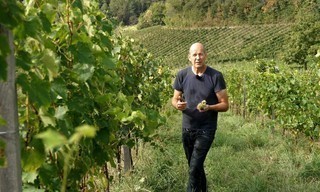 Ein Stück Österreich: Die Südsteiermark im Jahresverlauf