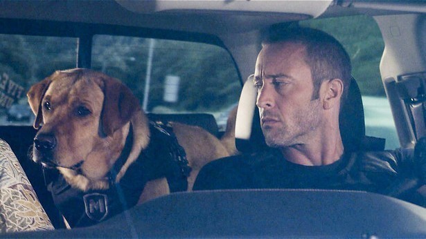 Max maakt een comeback in Hawaii Five-0