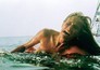 Jaws