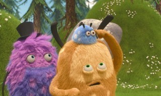 Kiwi & Strit