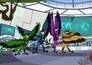 Kratts in het wild
