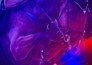 Paardensport: Global Champions Tour Riesenbeck