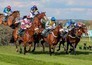 Paardensport: King George VI and Queen Elizabeth Stakes