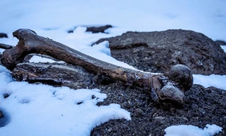 Secrets in the ice
