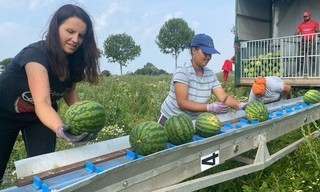 Südfrüchte aus dem Norden - Neue Chancen für die Landwirtschaft