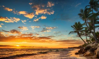 The Real Death In Paradise