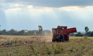 Unsere eigene Farm - Hier blüht uns was