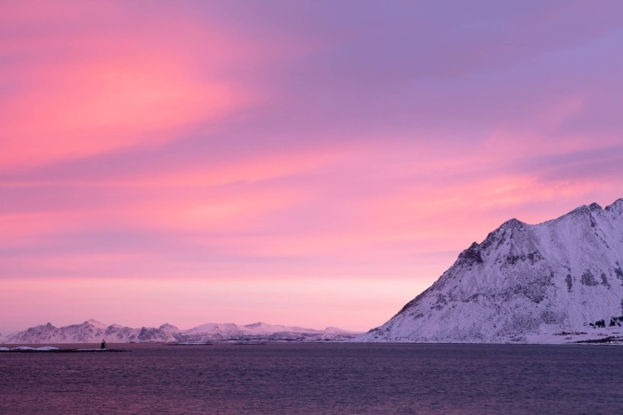Wild Scandinavia