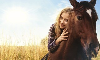 Zappbios: Wild Heart