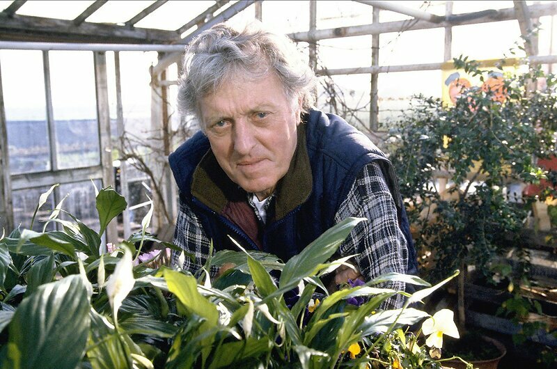 John Leddy
