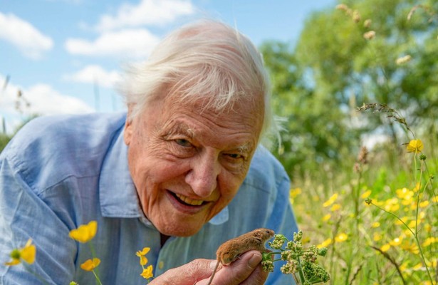 Sir David Attenborough