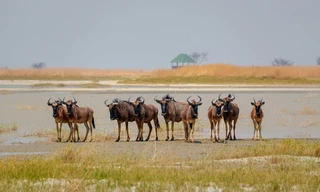 Africa's Ghost River