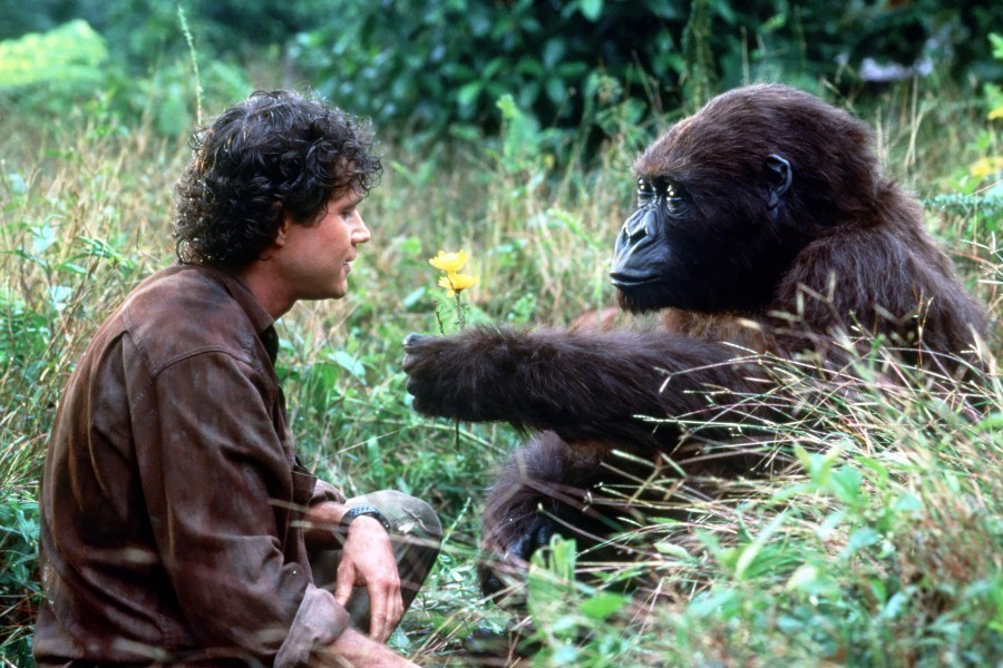 Congo