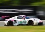 Endurance autoraces: 24 uur van Le Mans