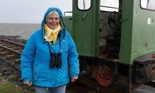 Geo Reportage: Wilde Waterkant - Nordfriesland und seine Gänse