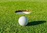 Golf: BMW International Open