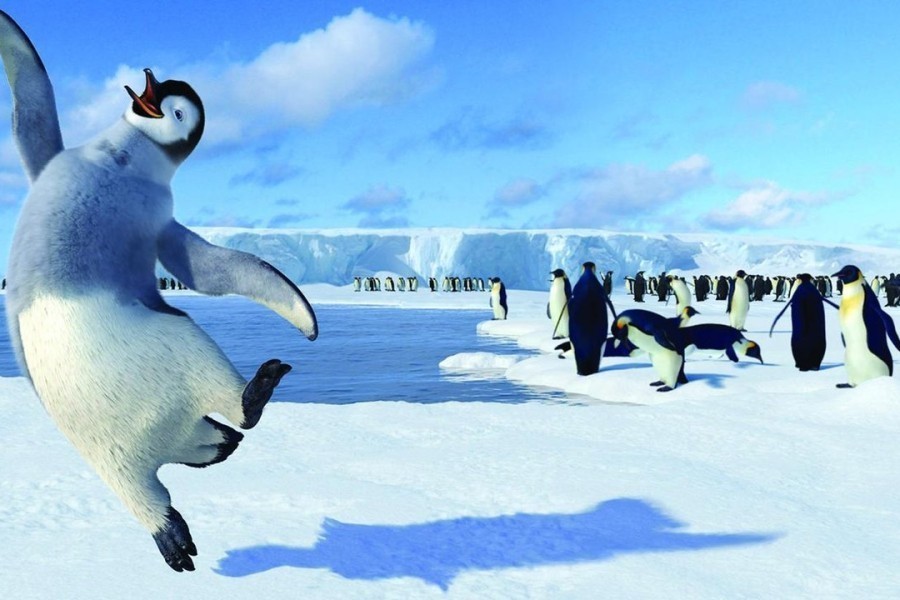 Happy Feet