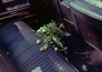 JFK: The Final Evidence