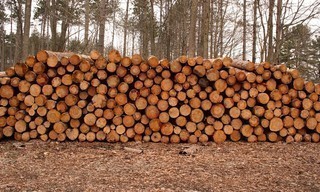 Knapp, knapper, Brennholz