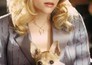 Legally Blonde 2: Red, White & Blonde
