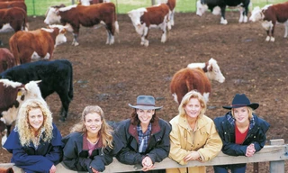 McLeod's daughters