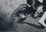 Motocross