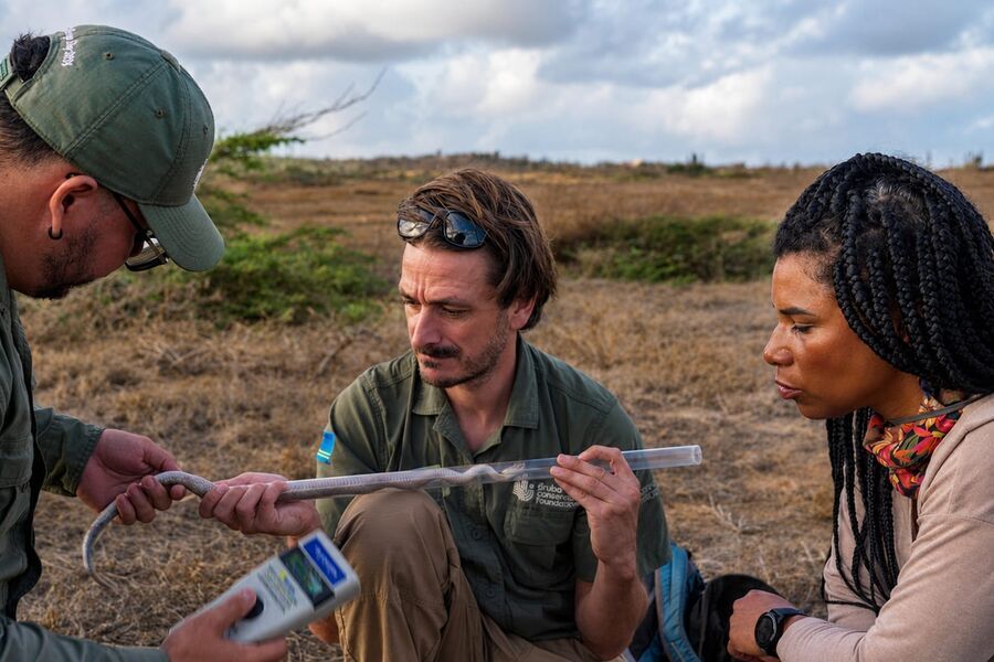 Natasja Gibbs brengt een bezoek aan Sint Maarten in de slotaflevering van Natuur in de Cariben