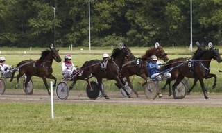 PaardenKracht