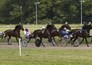 PaardenKracht
