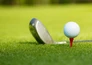 PGA Tour: The Cut