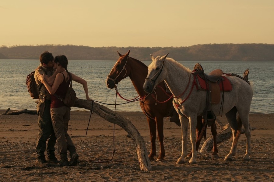 Quest For Love